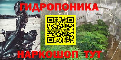 прущие крисы Нарткала