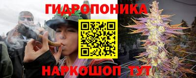 jwh Новокубанск