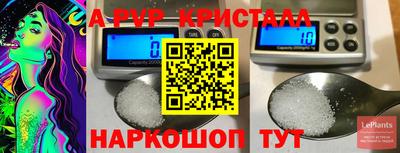 ECSTASY Нальчик